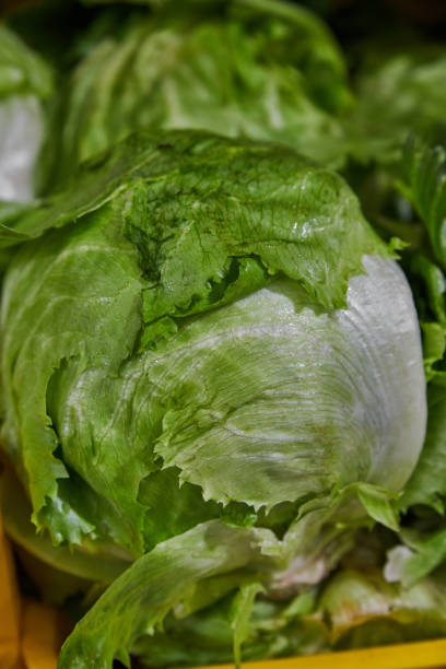 istock Stacked lettuce put on a shelf for sale within a market 1394852536