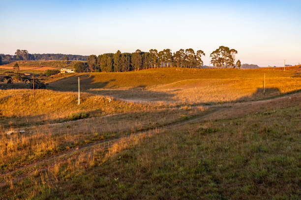 istock Farm field with grass and trees 1394852613
