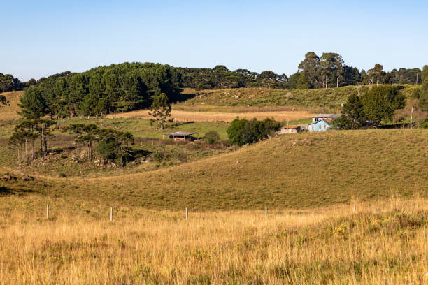 istock Farm house with trees and field 1394852619