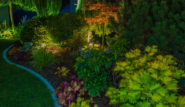 istock Illuminated Residential Backyard Rockery Garden 1394853247