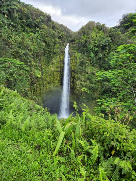 Akaka Falls State Park in Big Island, Hawaii stock photo
