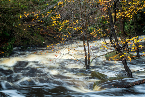 Water cascade at Shohola Falls in Autumn, Pocono Mountains, Pennsylvania, USA