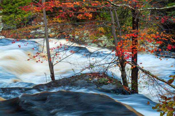 istock Autumn scenery at Shohola Falls 1394857202