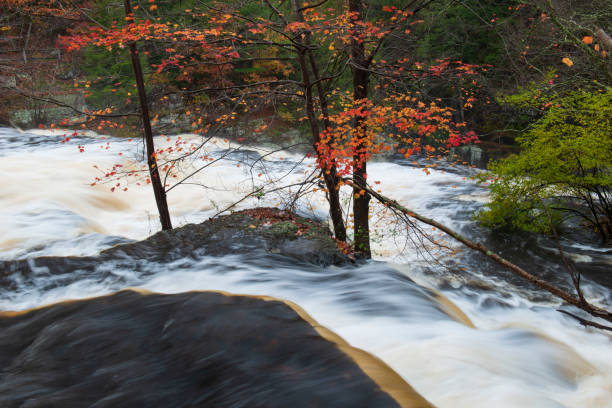 istock Autumn scenery at Shohola Falls 1394857238