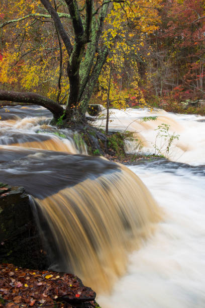 istock Autumn scenery at Shohola Falls 1394857256