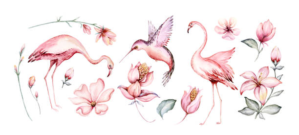 illustrations, cliparts, dessins animés et icônes de décor d’aquarelle tropicale oiseaux colibri, singe et jaguar, plantes exotiques de la jungle feuilles de bananier de palmier fleurs, flamant rose pastel couleur tissu sans couture fond - oiseau tropical