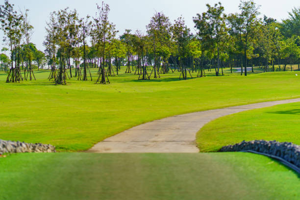 istock pathway and beautiful trees track for running or walking relax in the park on green grass field on the side of the golf course 1394859949