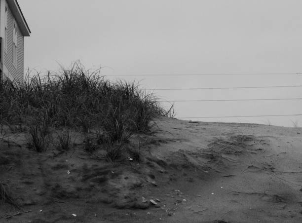 istock Black And White Coastal Scenes 1394863783