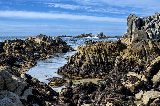 Seascape view of of rocky shore along Pacific Grove.

Taken along Pacific Grove, California, USA.