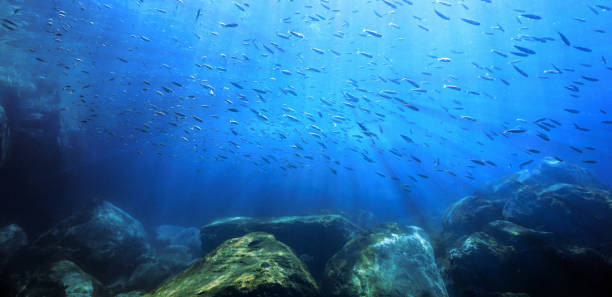istock Underwater landscape and scenery with rays of light 1394873169