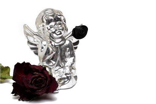 Close up of silver angel with small black flower on wing next to wilted red rose with dry green leaves on white background as concept for mourning and condolences