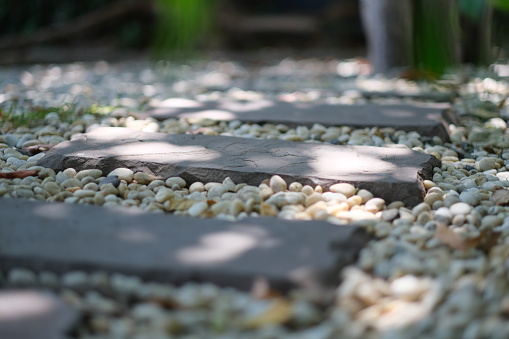 A walkway through garden made of neatly arranged stone tiles and a gravel