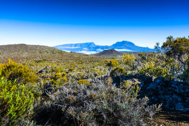 istock Landscape and Piton des Neiges summit at Reunion Island 1394881843