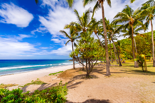 Sunny day with coconut and sand at Grande Anse Beach, Reunion Island