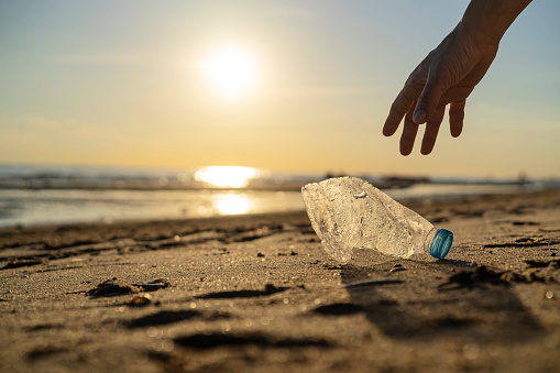 Hombre voluntario y botella de plástico, día de limpieza, recolección de residuos en la playa del mar photo