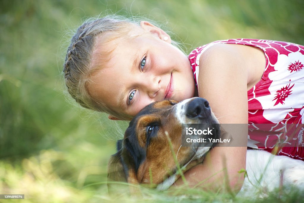 girl with dog Portrait of cute girl with dog on summer meadow Agricultural Field Stock Photo
