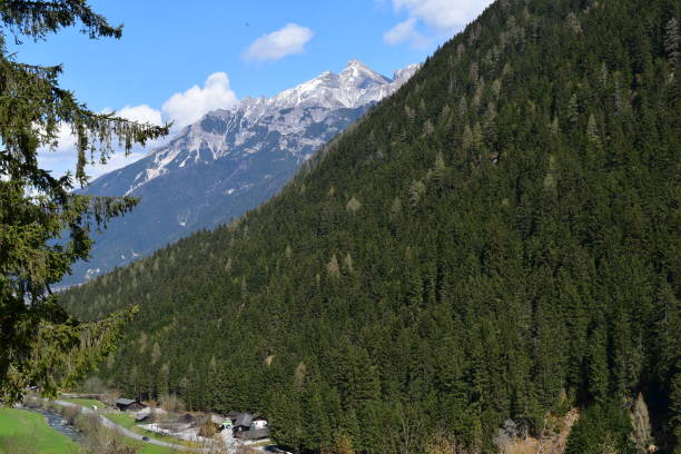 istock Beautiful landscape in Stubai Valley 1394896881