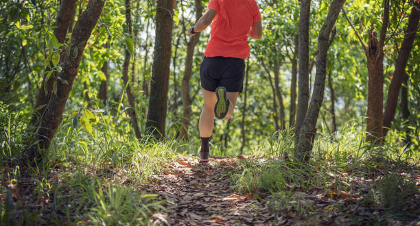 istock Woman hiker hiking on forest trail 1394898706
