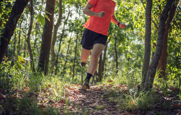 istock Woman hiker hiking on forest trail 1394899854