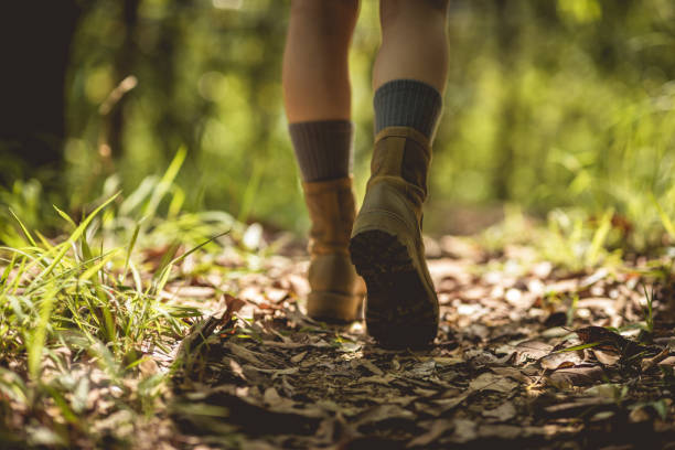 istock Woman hiker hiking on forest trail 1394901367