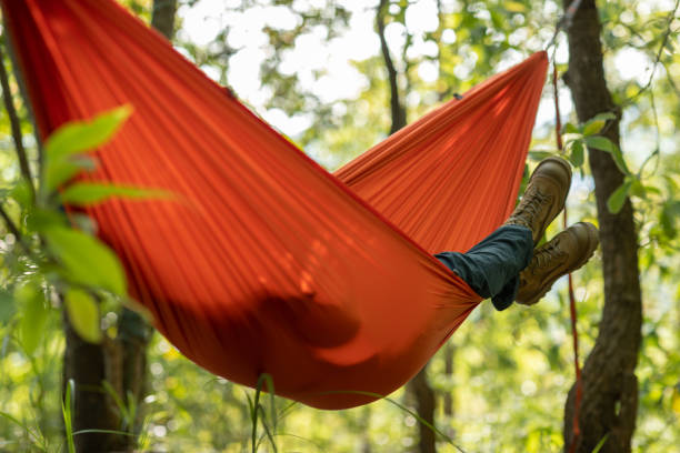 istock Relaxing in hammock in tropical forest 1394902034