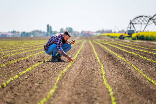 istock Farmer cultivating land 1394903550