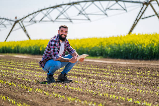 Farmer cultivating land stock photo