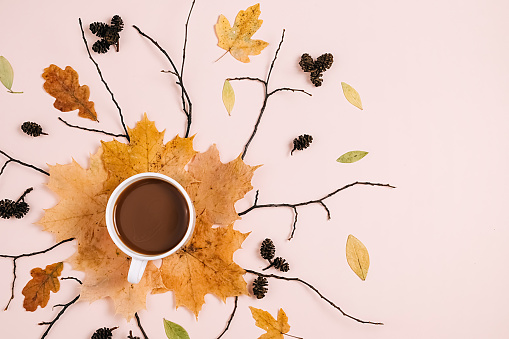 Autumn flat lay with dry leaves, hot coffee cup and cones on pastel beige background wall in studio with copy space for advertisement. Thanksgiving, fall, halloween concept. Creative composition