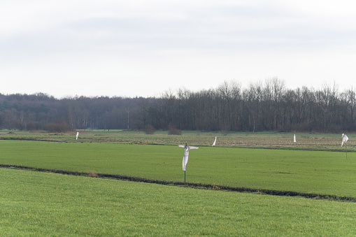 A group of white plastic scarecrows in the middle of a grassy field, pasture, with a background of trees. farmers and gardeners.