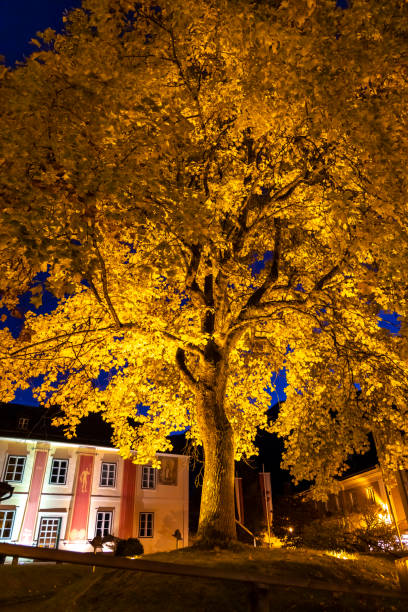 autumn Hallstatt in Upper Austria, Austria