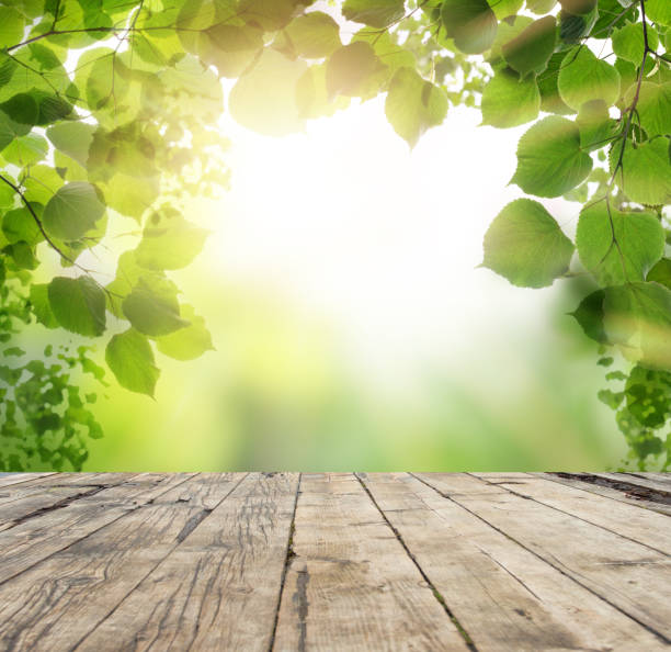 istock Real vintage wood table top texture on blur leaf tree garden background 1394905494
