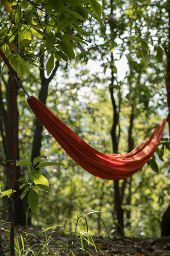 Hammock hanging in tropical forest