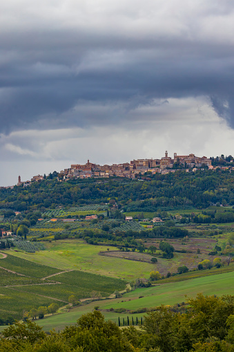 Typical Tuscan landscape with vineyard near Montalcino, Tuscany, Italy