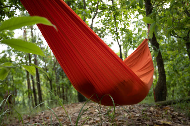 istock Relaxing in hammock in tropical forest 1394907687