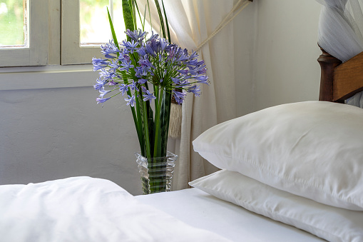 Comfortable soft bed in room and a bouquet of flowers near the window, Tanzania, East Africa, close up