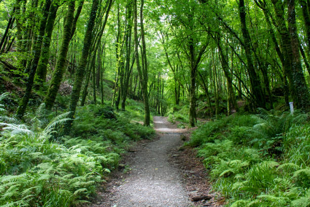 Country walking trails through the West Cork landscape
