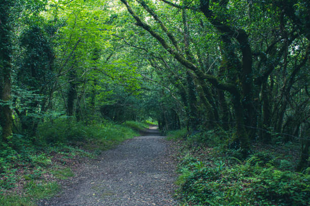 istock Country walking trails through the West Cork landscape 1394909553