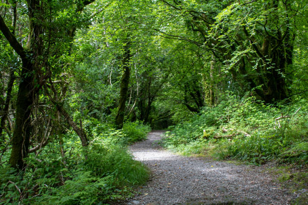 istock Country walking trails through the West Cork landscape 1394909634