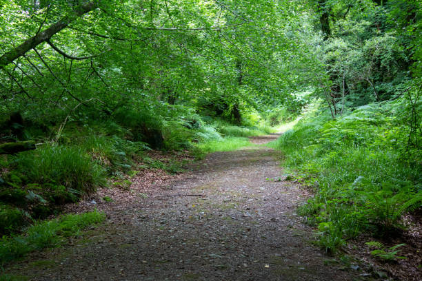 istock Country walking trails through the West Cork landscape 1394909696