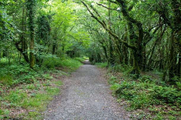istock Country walking trails through the West Cork landscape 1394909781