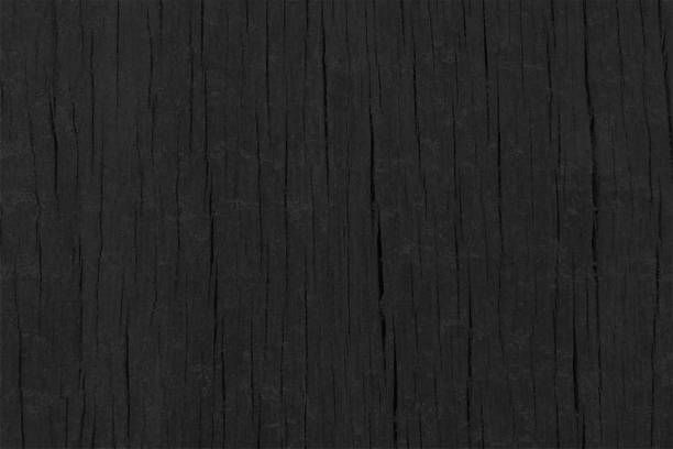 나무 줄기 또는 나무 껍질은 그런지 나무 질감의 빈 빈 수평 검은 색 벡터 배경에 균열이나 틈새가있는 패턴과 같습니다. - bark backgrounds textured wood grain stock illustrations