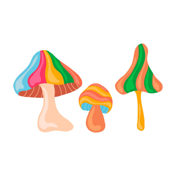 ilustraciones, imágenes clip art, dibujos animados e iconos de stock de psicodélico colorido hongos de fantasía vector ilustraciones aisladas - mushroom retro revival vegetable food