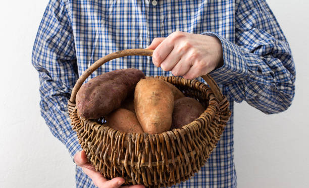 サツマイモのバスケットを持った男 - root vegetable raw potato human skin root ストックフォトと画像