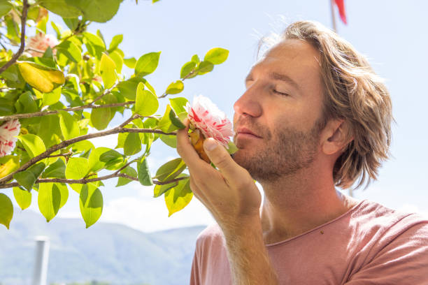 istock Male gardener smelling blossom flower 1394914700