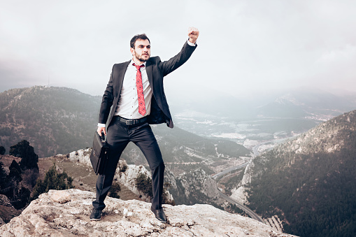 Business man standing on the top of the mountain