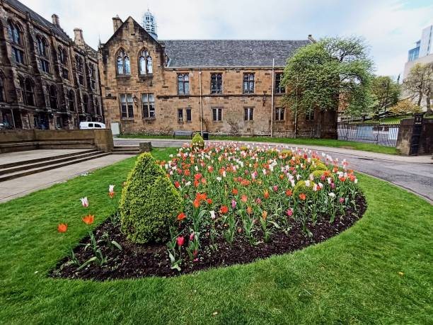 istock Traditional university glasgow building at Scotland england uk 1394916723