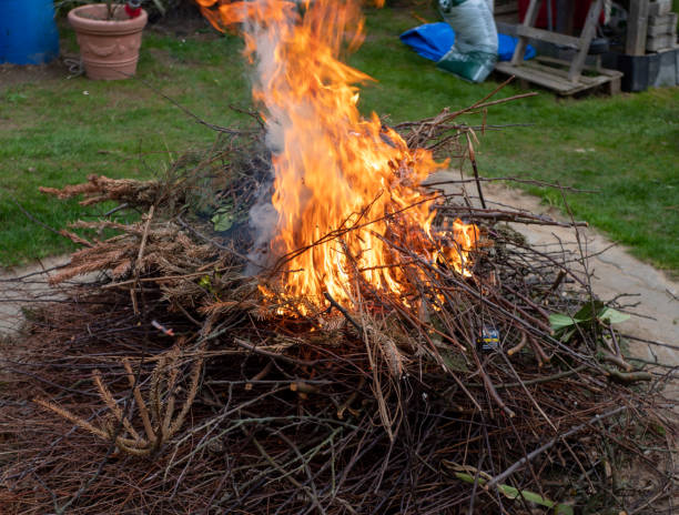 istock Garden waste is burned in the garden 1394919081