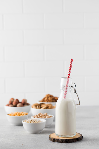 A bottle of vegetable milk on the background of bowls with nuts, oat flakes. The concept of variability of alternative milk.