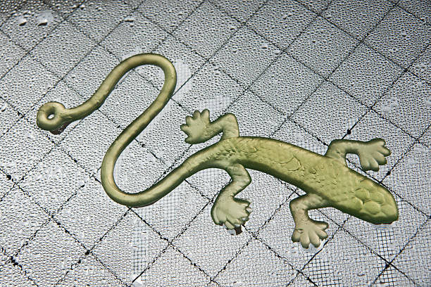 Plastic lizard toy walking on a wet surface stock photo