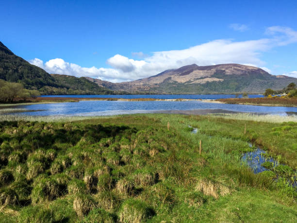 The Ring of Kerry and Killarney National Park, Ireland Muckross, Kerry, Ireland- April 27, 2016: The Ring of Kerry is one of the world's 10 must see scenery credited by Lonely Planet. Along the 178km's ring, the Killarney National Park is the most popular place.  Here is the scenery of the national park. killarney lake stock pictures, royalty-free photos & images